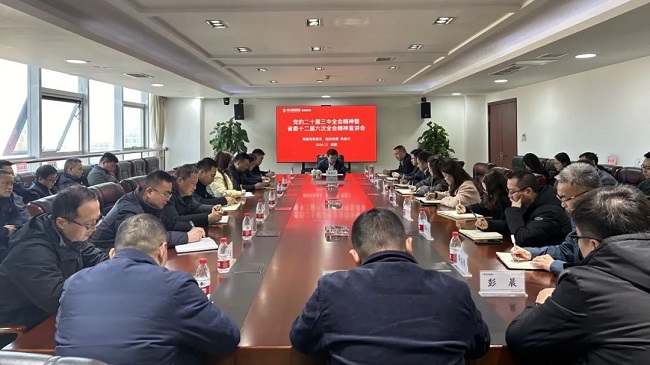 集團(tuán)黨委委員、副總經(jīng)理?xiàng)罱鸫ǖ焦拘v黨的二十屆三中全會(huì)和省委十二屆六次全會(huì)精神